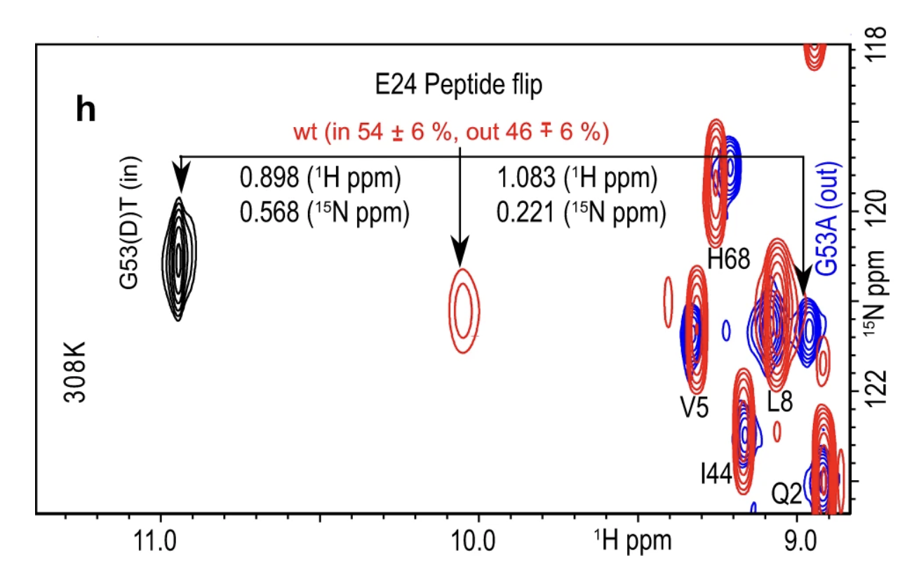 NMR spectrum